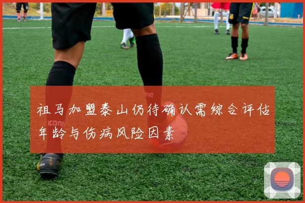 祖马加盟泰山仍待确认需综合评估年龄与伤病风险因素